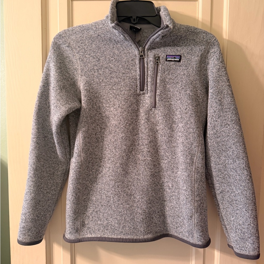Patagonia Gray Fleece Pullover